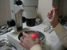 湖南试管婴儿医院成功率哪家高？附试管婴儿医院详情介绍！