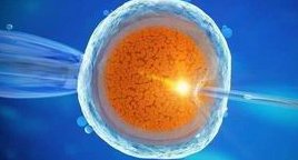 深圳能做三代试管的医院有哪些？备孕前吃什么食物可以优生？