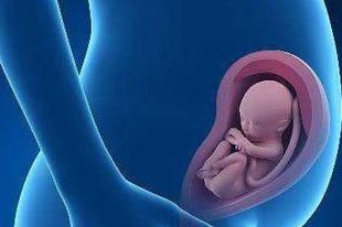 子宫纵隔生育困难可以在铜仁市做三代试管吗？子宫有问题做试管的成功率高吗？